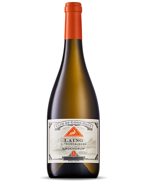 Cape of Good Hope Citrusdalberg Laing Groendruif 2025 NV